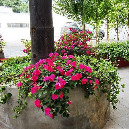 Tramas Andinas Aparthotel ซัลตา ภายนอก รูปภาพ