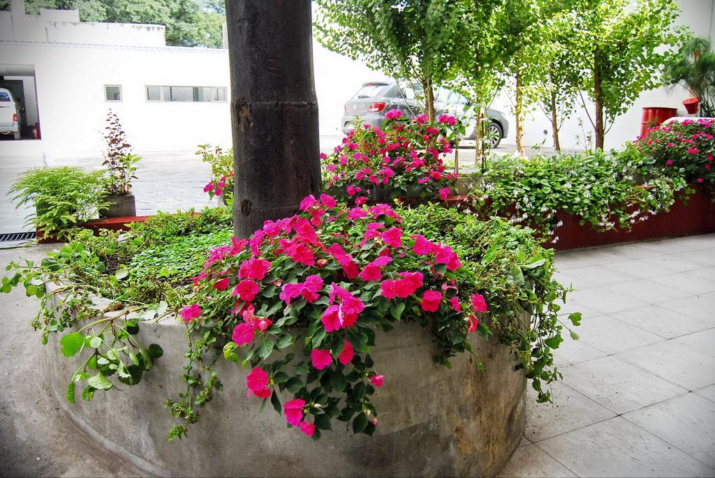 Tramas Andinas Aparthotel ซัลตา ภายนอก รูปภาพ